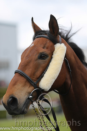 Racing at Down Royal on May Day 2015