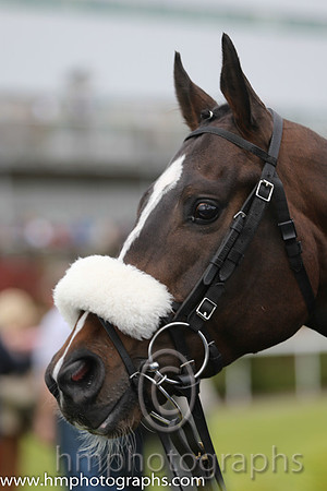 Racing at Down Royal on May Day 2015