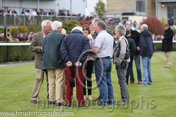 Parade ring at Down Royal