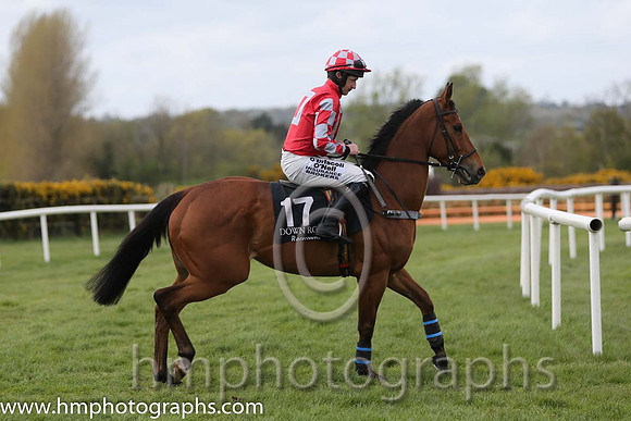 14th Jkt Prince ( 17 , red, grey hollow box ) and R. Loughran - Trainer : M.V.Manning - Owner : Damian Thomas Foy