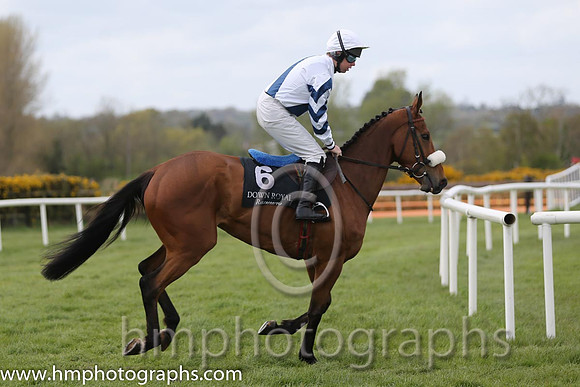 11th Exit Seven ( 6 , white, blue sash ) and A.E. Lynch - Trainer : T.G.McCourt - Owner : Mrs J. Manley/P.B. Cosgrove