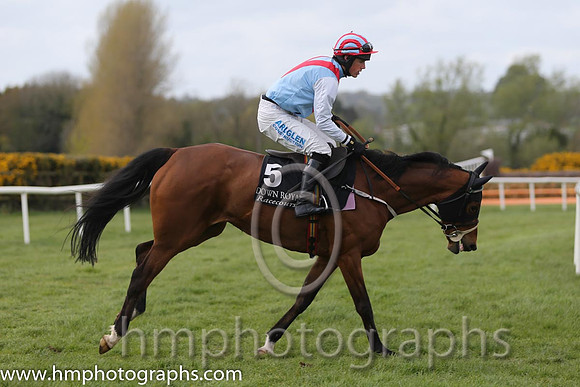 12th Miss Faithful ( 5 , ) and B. Hayes (3) - Trainer : Peter McCreery - Owner : Paul Doolin