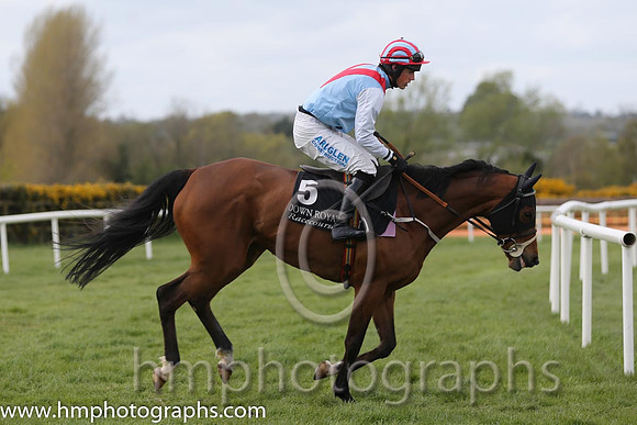 12th Miss Faithful ( 5 , ) and B. Hayes (3) - Trainer : Peter McCreery - Owner : Paul Doolin