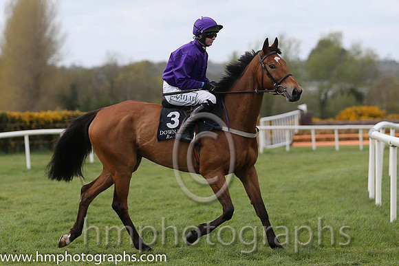 09th Court Jester ( 3 , purple ) and N.P. Madden - Trainer : S.Wilson - Owner : Cocomo Syndicate