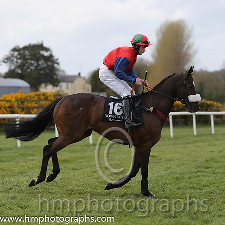 19th Glendaars Best ( 16 , red, black sleeves ) and R.A. Doyle (7) - Trainer : Mrs D.A.Love - Owner : Michael G Mee