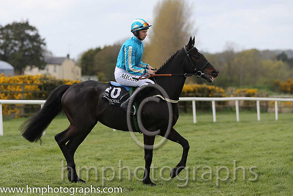 06th Sue And Isi ( 10 , yellow ) and L.A. McKenna (7) - Trainer : J.J.Lambe - Owner : Patrick J. McKenna