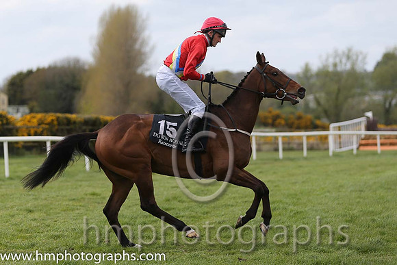 16th Lake Chapala ( 15 , red, white sash ) and J.L. Cullen - Trainer : Mark L. Fagan - Owner : Mrs. M. Fagan