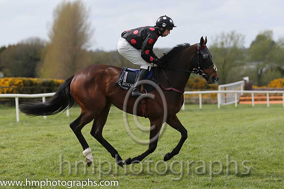 04th Diesel Ten ( 11 , black, orange stars ) and J.S. McGarvey (3) - Trainer : Anthony McCann - Owner : Miss Rita Shah