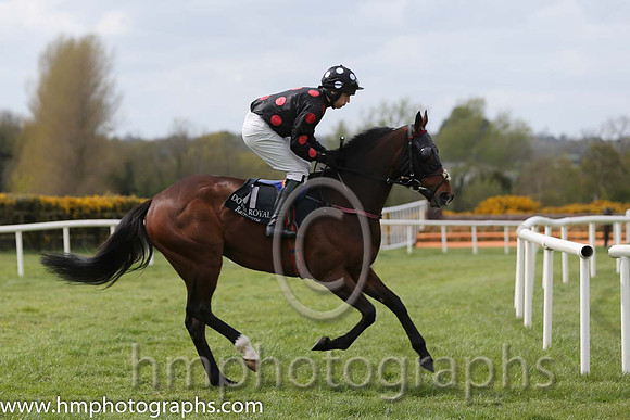 04th Diesel Ten ( 11 , black, orange stars ) and J.S. McGarvey (3) - Trainer : Anthony McCann - Owner : Miss Rita Shah