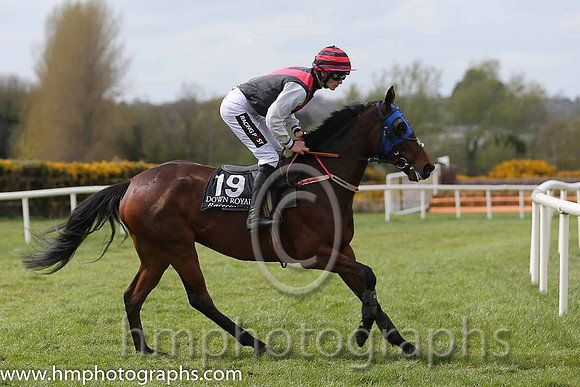 17th Salacious Sally ( 19 , bkack, red chevron ) and D.E. Mullins - Trainer : Donal Kinsella - Owner : Donal Kinsella