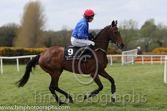 02nd Pace And Passion ( 9 , blue, red cap ) and M.P. Fogarty - Trainer : Thomas J.Farrell - Owner : Pierce Gerard Molony/John P. Murphy
