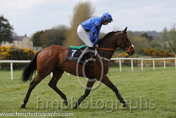 01st Shaiyzar ( 7 , blue, black sash ) and M.P. Butler - Trainer : Eoin Doyle - Owner : Damien Carroll