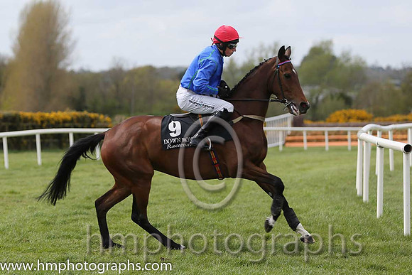 02nd Pace And Passion ( 9 , blue, red cap ) and M.P. Fogarty - Trainer : Thomas J.Farrell - Owner : Pierce Gerard Molony/John P. Murphy