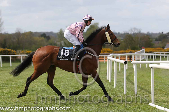 03rd Percys Choice ( 18 , pink, purple star ) and C.J. McGovern (7) - Trainer : Anthony McCann - Owner : Anthony McCann