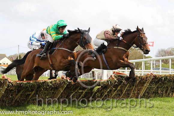 20th F Harry's Summer (USA) ( 8 , yellow, green star ) and R.M. Power - Trainer : Gordon Elliott - Owner : Sean F. Gallagher10th Cecil Corbett (GB) ( 12 , beige, brown star ) and N.M.Kelly (7) - Train