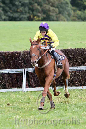 Ma's Anthem & R M Johnson - 4th (8, yellow, purple chevrons) - FT8E6994-e
