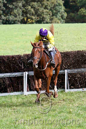 Ma's Anthem & R M Johnson - 4th (8, yellow, purple chevrons) - FT8E7004-e