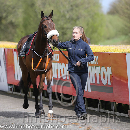 05th PU Knight's Parade ( 1 , white, red stars ) and B. O'Neill (3) - Trainer : Gordon Elliott - Owner : Bodhran Makers Syndicate