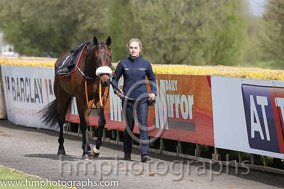 05th PU Knight's Parade ( 1 , white, red stars ) and B. O'Neill (3) - Trainer : Gordon Elliott - Owner : Bodhran Makers Syndicate
