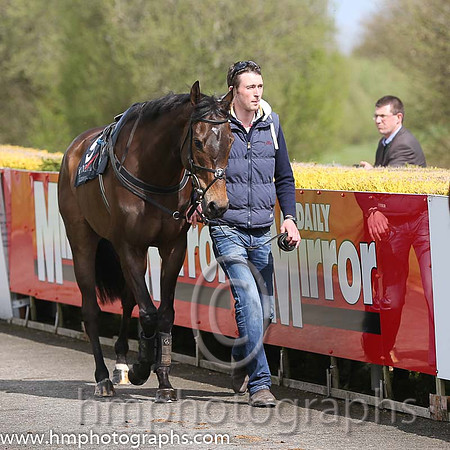 04th Ground Invasion ( 5 , pink and white chevrons ) and A.J. Fox (7) - Trainer : S.R.B. Crawford - Owner : Liquid Lunch Syndicate