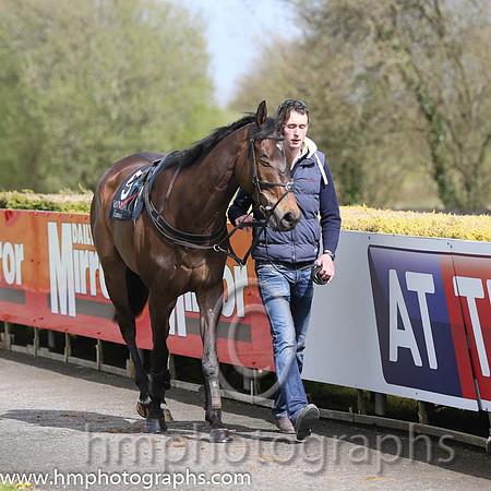 04th Ground Invasion ( 5 , pink and white chevrons ) and A.J. Fox (7) - Trainer : S.R.B. Crawford - Owner : Liquid Lunch Syndicate