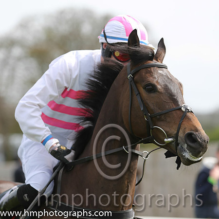 04th Ground Invasion ( 5 , pink and white chevrons ) and A.J. Fox (7) - Trainer : S.R.B. Crawford - Owner : Liquid Lunch Syndicate