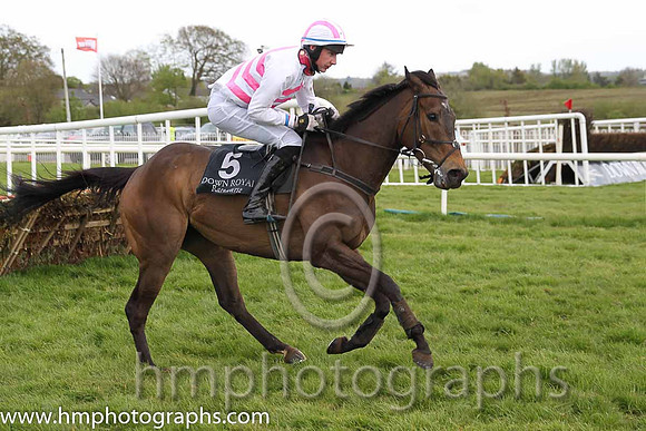 04th Ground Invasion ( 5 , pink and white chevrons ) and A.J. Fox (7) - Trainer : S.R.B. Crawford - Owner : Liquid Lunch Syndicate