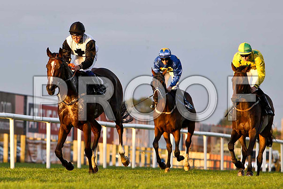 Horseford Hill , Action Master & Muskatsturm - FT8E4653-e