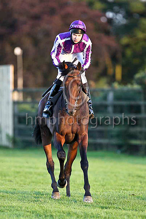 Chicago & J O'Brien - Winner (5, purple, white seams) - CU2D3514-e