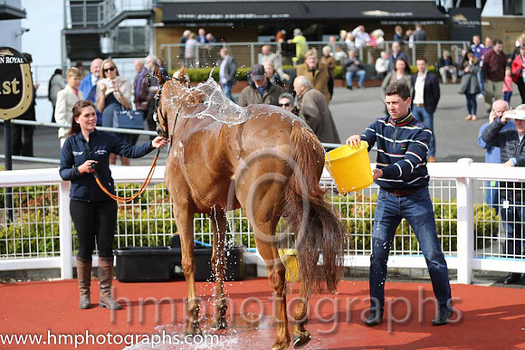 01st Flaxen Flare ( 2 , blue, yellow diamond ) and B. O'Neill (3) - Trainer : Gordon Elliott - Owner : Mrs P Sloan