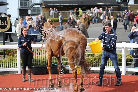 01st Flaxen Flare ( 2 , blue, yellow diamond ) and B. O'Neill (3) - Trainer : Gordon Elliott - Owner : Mrs P Sloan