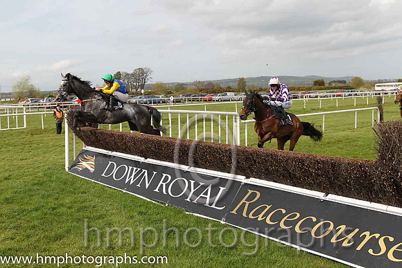 05th Young Palm ( 6 , blue, yellow diamond, green cap ) and A.E. Lynch - Trainer : S.R.B. Crawford - Owner : Mrs P Sloan
