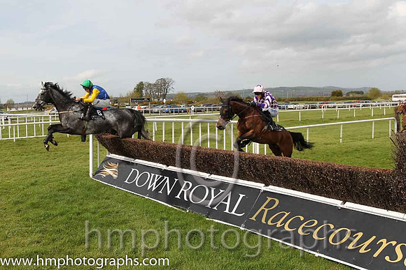 05th Young Palm ( 6 , blue, yellow diamond, green cap ) and A.E. Lynch - Trainer : S.R.B. Crawford - Owner : Mrs P Sloan