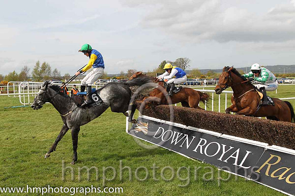 05th Young Palm ( 6 , blue, yellow diamond ) and A.E. Lynch - Trainer : S.R.B. Crawford - Owner : Mrs P Sloan