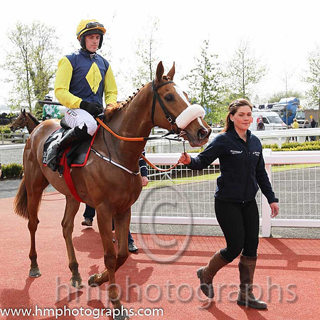 01st Flaxen Flare ( 2 , blue, yellow diamond ) and B. O'Neill (3) - Trainer : Gordon Elliott - Owner : Mrs P Sloan