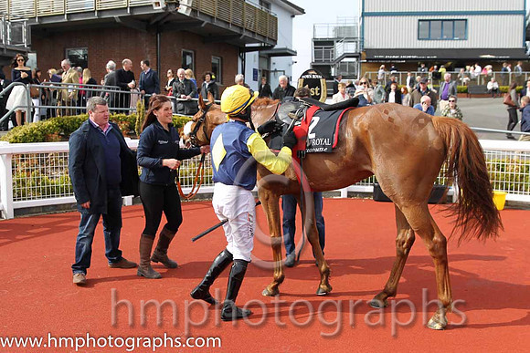 01st Flaxen Flare ( 2 , blue, yellow diamond ) and B. O'Neill (3) - Trainer : Gordon Elliott - Owner : Mrs P Sloan
