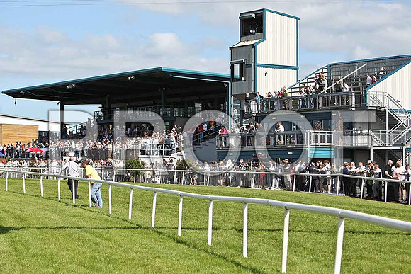 The Stands! - CU2D0370-e