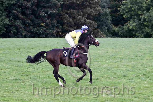 Send For Paddy & G Yemm - 2nd (9, yellow & royal blue qtrs) - FT8E7281-e