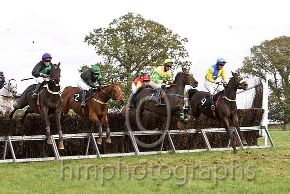 Indigo Blue & Ms K Ferris - winner (2, black green sash) &  Send For Paddy & G Yemm - 2nd (9, yellow & royal blue qtrs) - FT8E7324-e