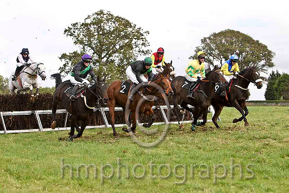 Indigo Blue & Ms K Ferris - winner (2, black green sash) &  Send For Paddy & G Yemm - 2nd (9, yellow & royal blue qtrs)- FT8E7327-e
