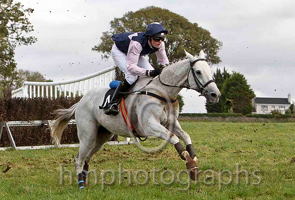 Domfontenal & R Kavanagh (4, navy, pink triple diamond) - FT8E7332-e