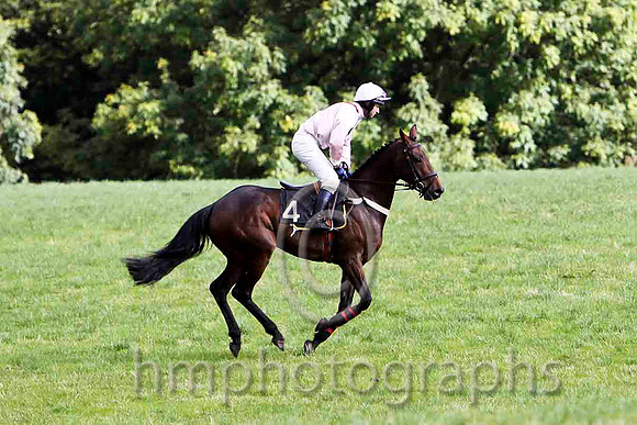 En Suite & N McParlan - Winner (4, pink, maroon chevron) - FT8E7014FT8E7015-e