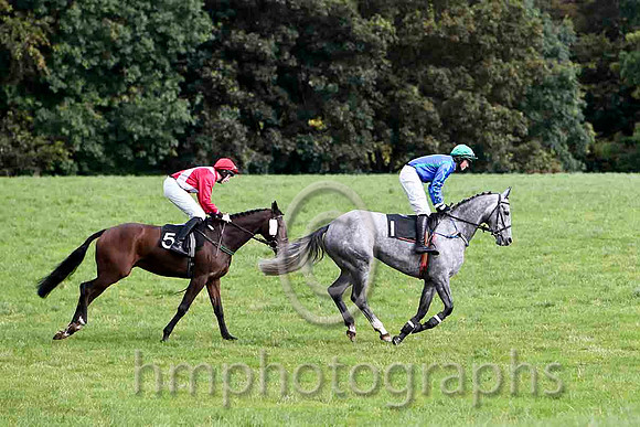 Knockans Breeze & W Thompson - 4th (5, red, white cross belts)  & Sansa Start & J Cresswell - 3rd (1, royal blue, emerald green sash)- FT8E7016-e
