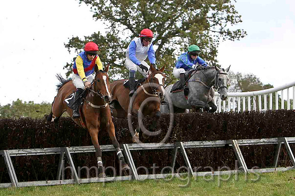 Sentry Girl & M J O'Hare - 2nd (2, royal blue, red sash) , Over Church Road & P E Turley - Fell (6, white, royal blue, plain sleeves) & Sansa Start & J Cresswell - 3rd (1, royal blue - FT8E7022-e