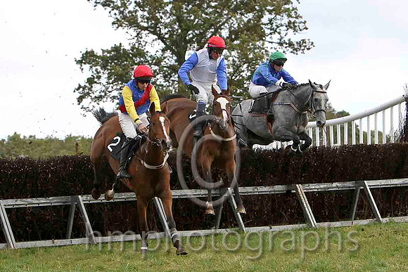 Sentry Girl & M J O'Hare - 2nd (2, royal blue, red sash) , Over Church Road & P E Turley - Fell (6, white, royal blue, plain sleeves) & Sansa Start & J Cresswell - 3rd (1, royal blue) - FT8E7023-e