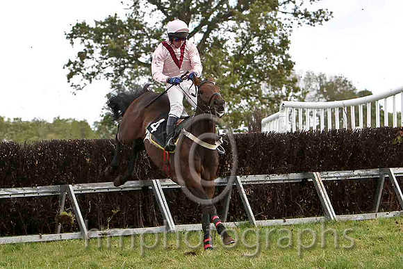 En Suite & N McParlan - Winner (4, pink, maroon chevron) - FT8E7014FT8E7026-e