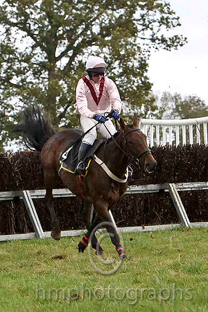 FEn Suite & N McParlan - Winner (4, pink, maroon chevron) - FT8E7014T8E7027-e