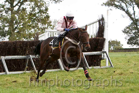 En Suite & N McParlan - Winner (4, pink, maroon chevron) - FT8E7014FT8E7029-e