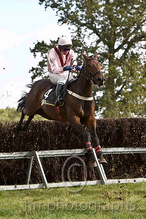 En Suite & N McParlan - Winner (4, pink, maroon chevron) - FT8E7014FT8E7040-e
