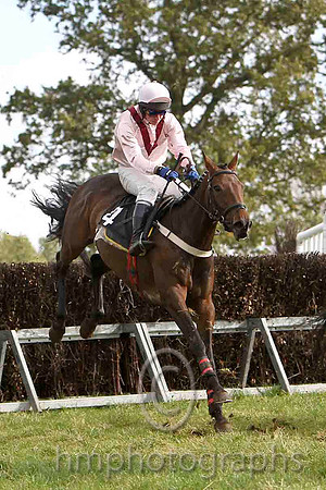 En Suite & N McParlan - Winner (4, pink, maroon chevron) - FT8E7014FT8E7041-e
